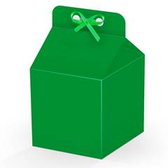 Caixa Milk de Papel Lisa Verde Bandeira Junco 8 unidades